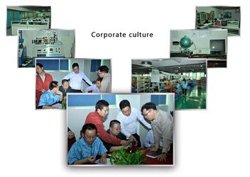 Golden Future Enterprise HK Ltd