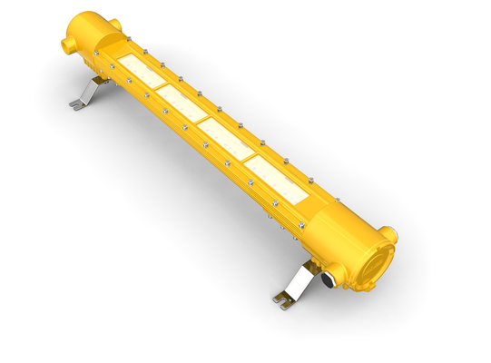 Het fluorescente Explosiebestendige met een laag bedekte poeder van het de corrosiebewijs van de Toorts Lichte Montage IP66